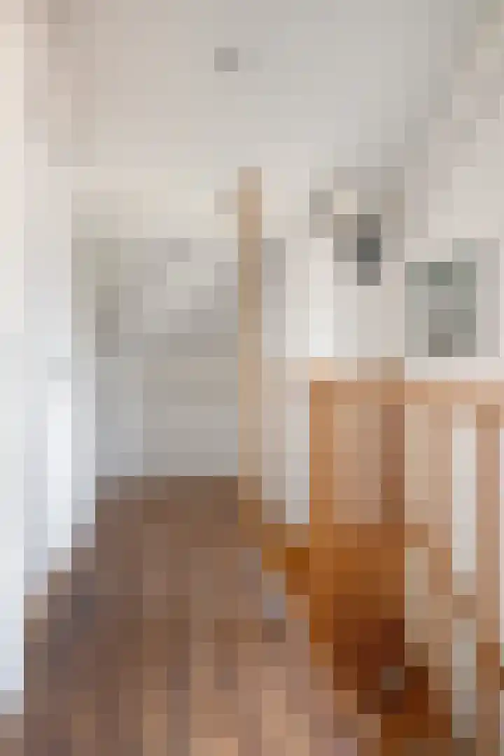 Maaiklinkstraat 27 Driewegen thumbnail 41