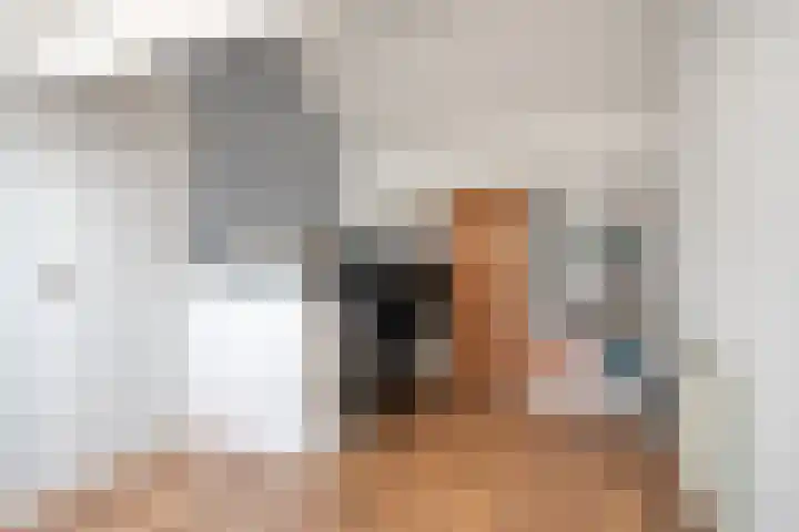 Maaiklinkstraat 27 Driewegen thumbnail 42