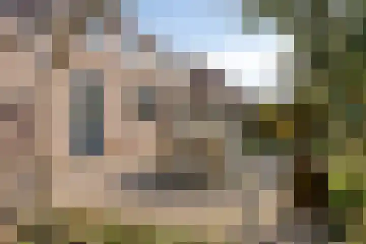 Maaiklinkstraat 27 Driewegen thumbnail 49