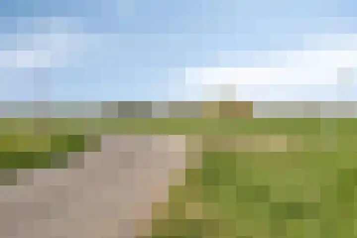 Maaiklinkstraat 27 Driewegen thumbnail 53