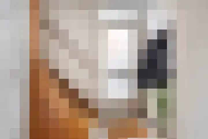 Maaiklinkstraat 27 Driewegen thumbnail 6