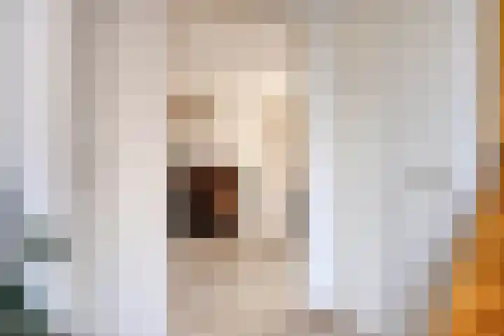 Maaiklinkstraat 27 Driewegen thumbnail 7
