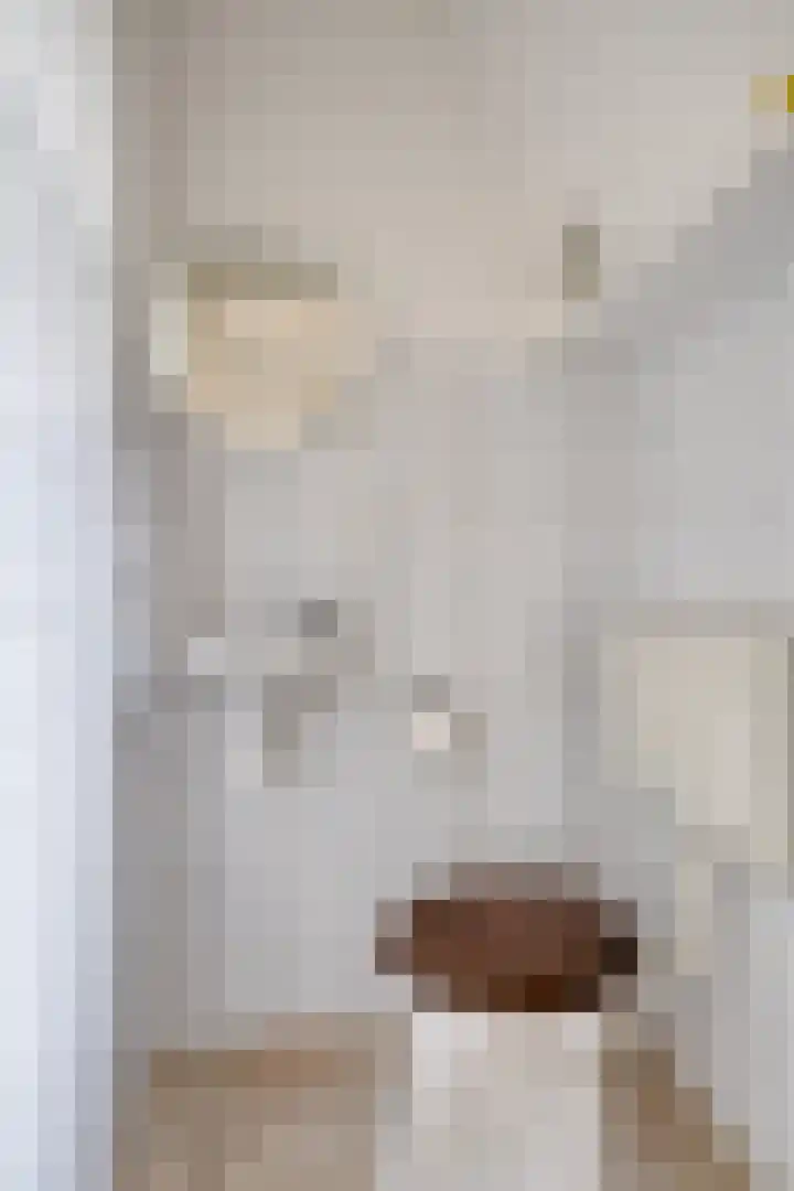 Maaiklinkstraat 27 Driewegen thumbnail 8