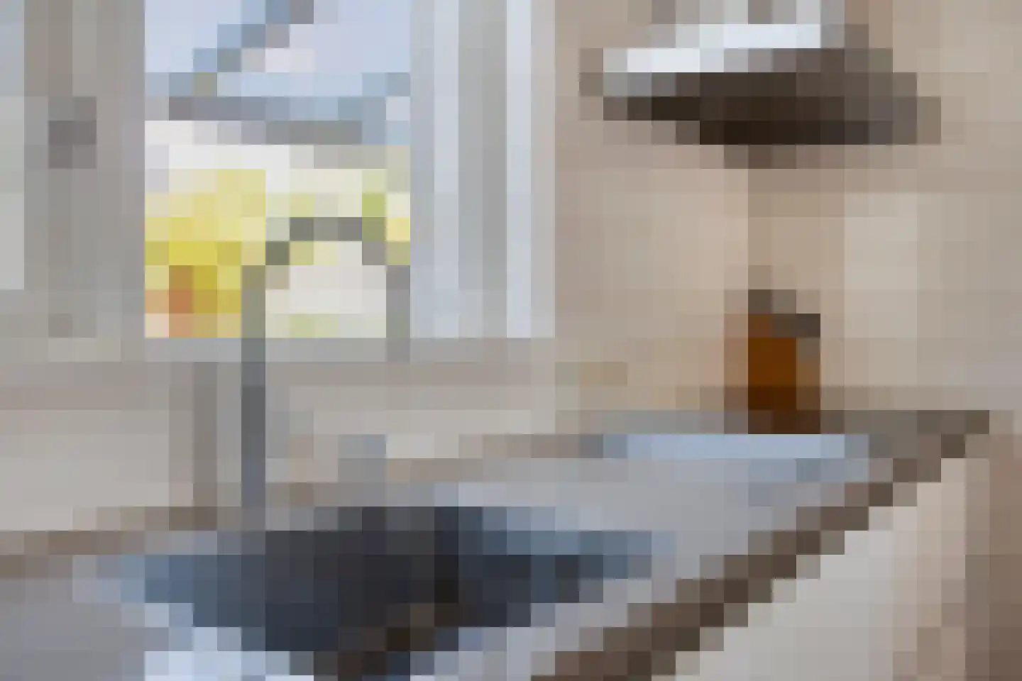 Maaivelden 18 Best thumbnail 11