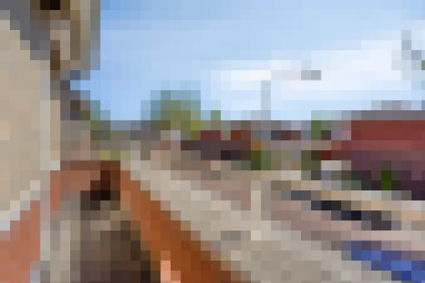Maaivelden 18 Best thumbnail 20