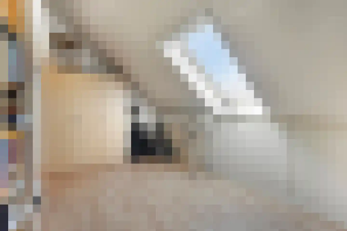 Maaivelden 18 Best thumbnail 29