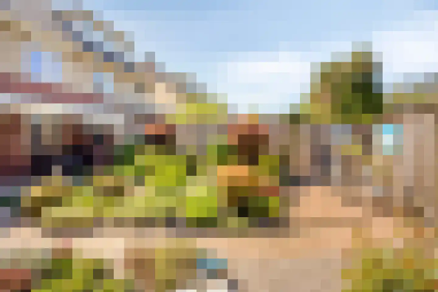 Maaivelden 18 Best thumbnail 30