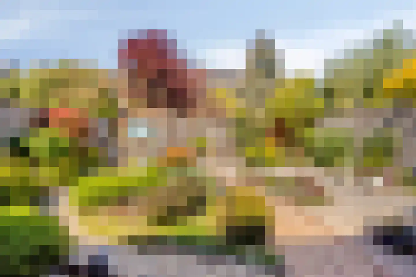 Maaivelden 18 Best thumbnail 31