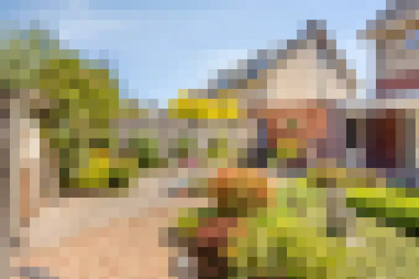 Maaivelden 18 Best thumbnail 33