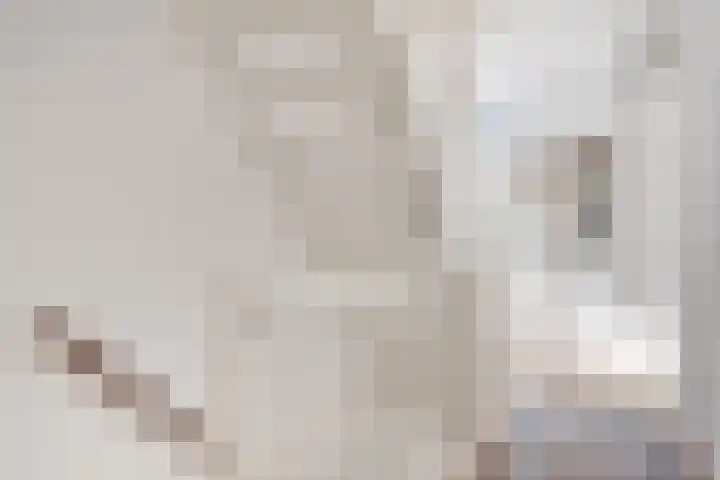 Maaivelden 24 Best thumbnail 14