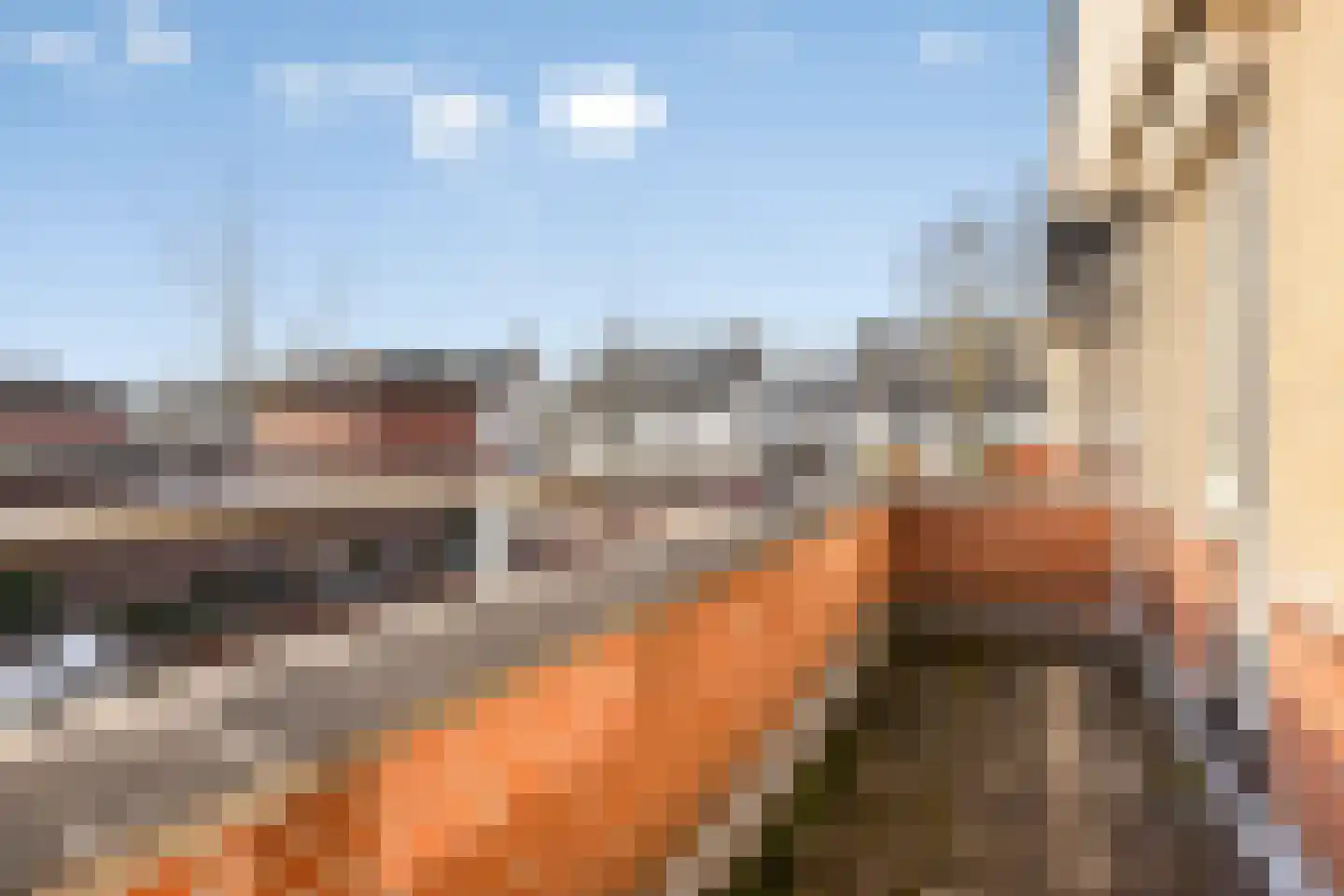 Maaivelden 24 Best thumbnail 19