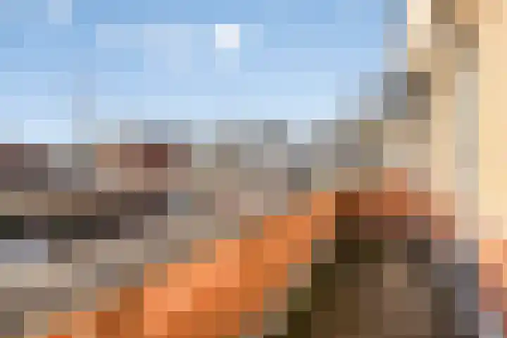 Maaivelden 24 Best thumbnail 19
