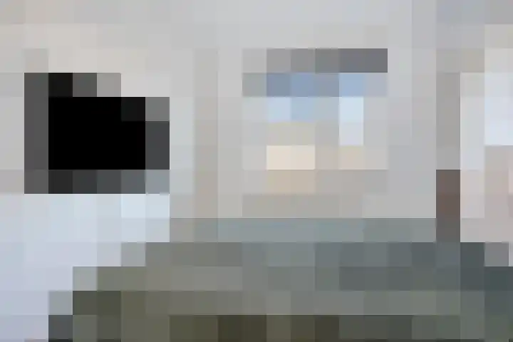 Maaivelden 24 Best thumbnail 23