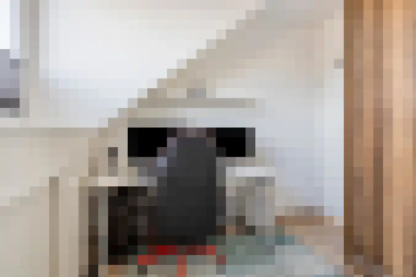 Maaivelden 24 Best thumbnail 32