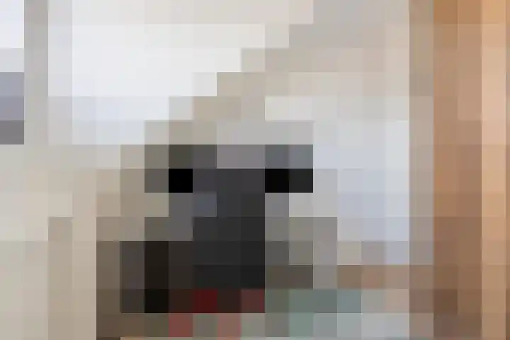 Maaivelden 24 Best thumbnail 32