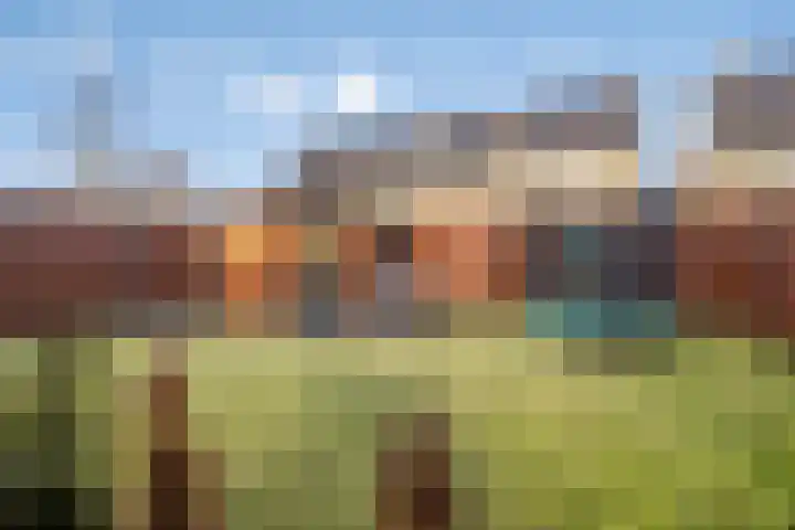 Maaivelden 24 Best thumbnail 36