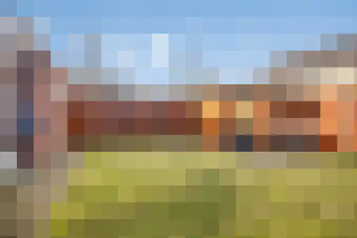 Maaivelden 24 Best thumbnail 37