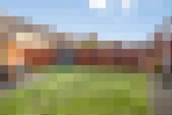 Maaivelden 24 Best thumbnail 38