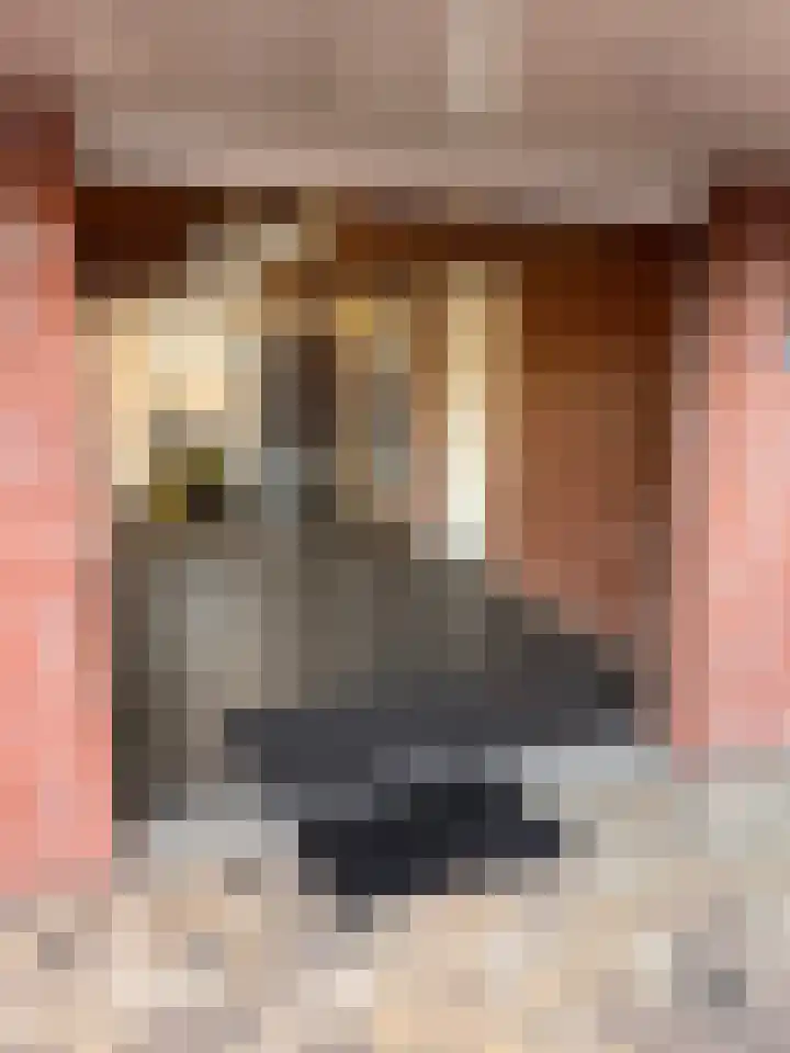 Maaivelden 24 Best thumbnail 39