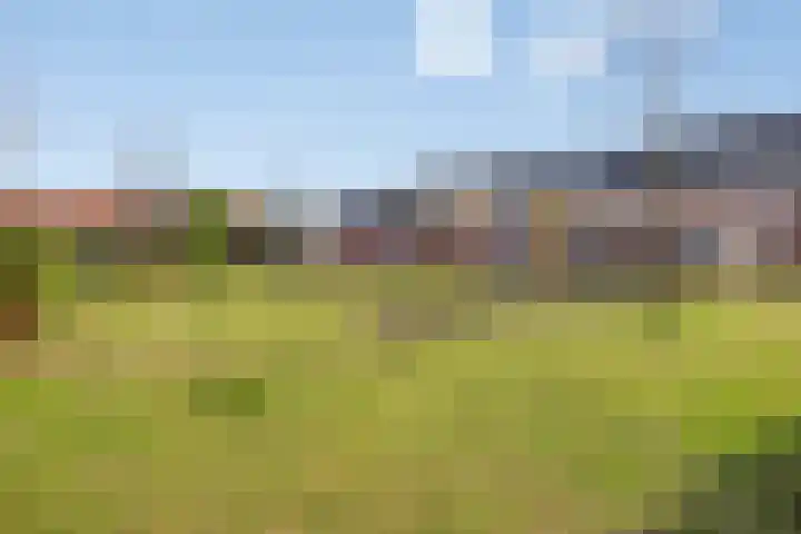 Maaivelden 24 Best thumbnail 46
