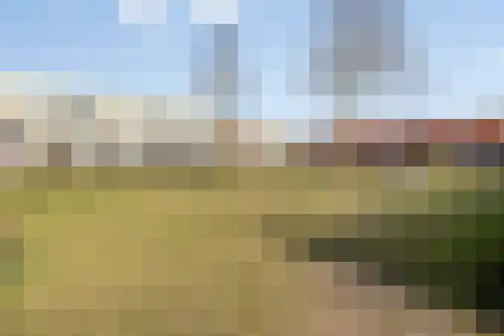 Maaivelden 24 Best thumbnail 47