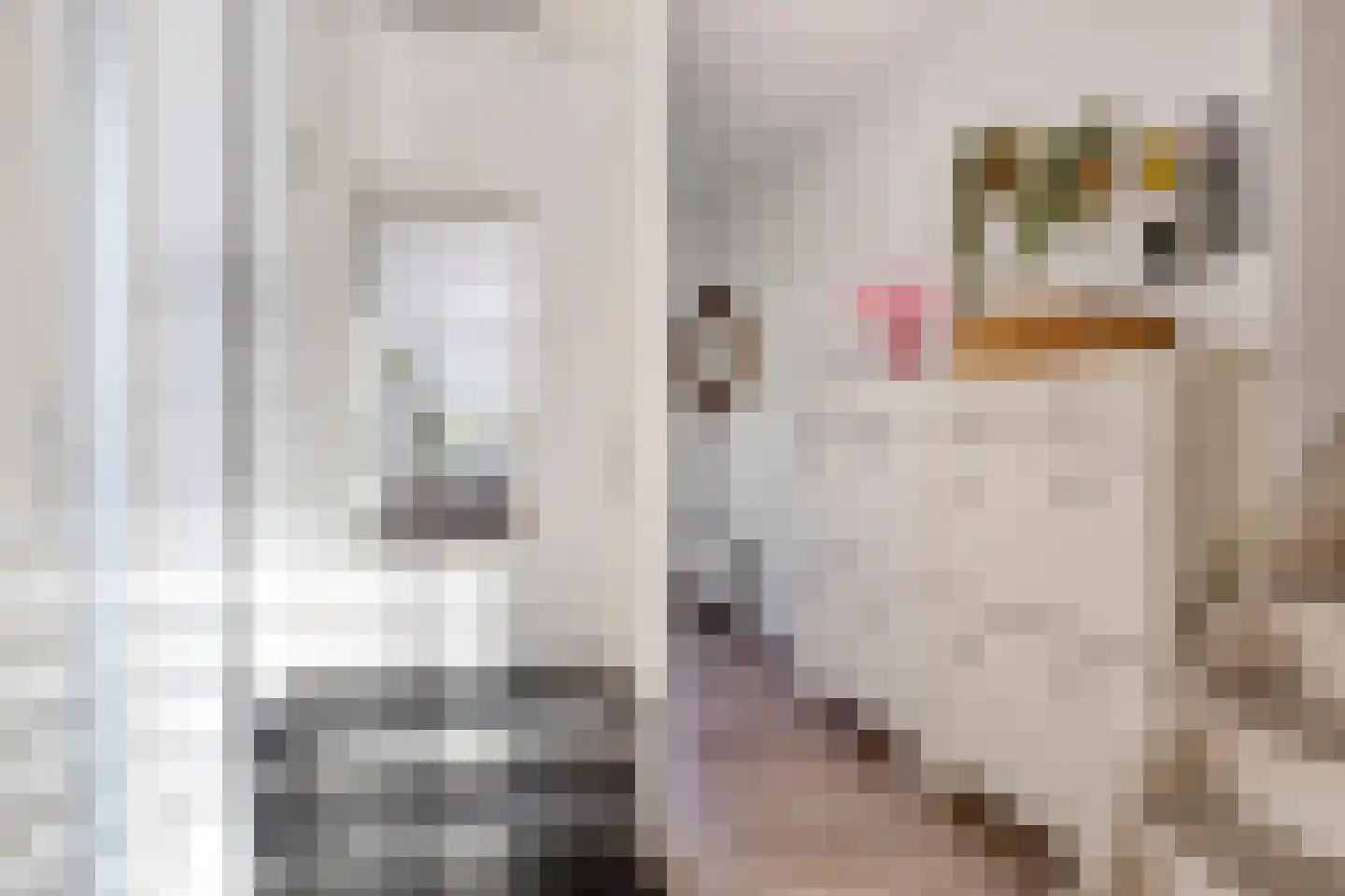 Maaivelden 24 Best thumbnail 5