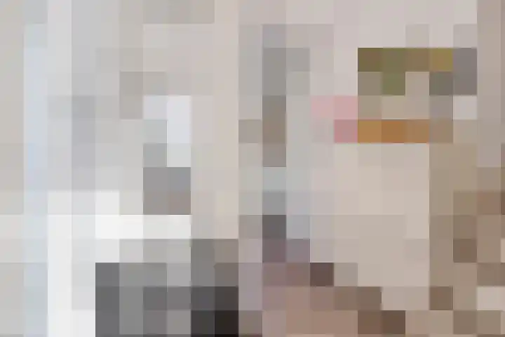 Maaivelden 24 Best thumbnail 5