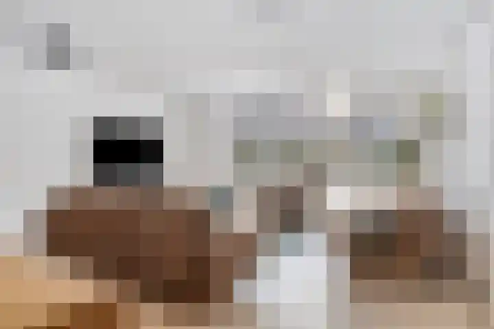 Maaivelden 24 Best thumbnail 8