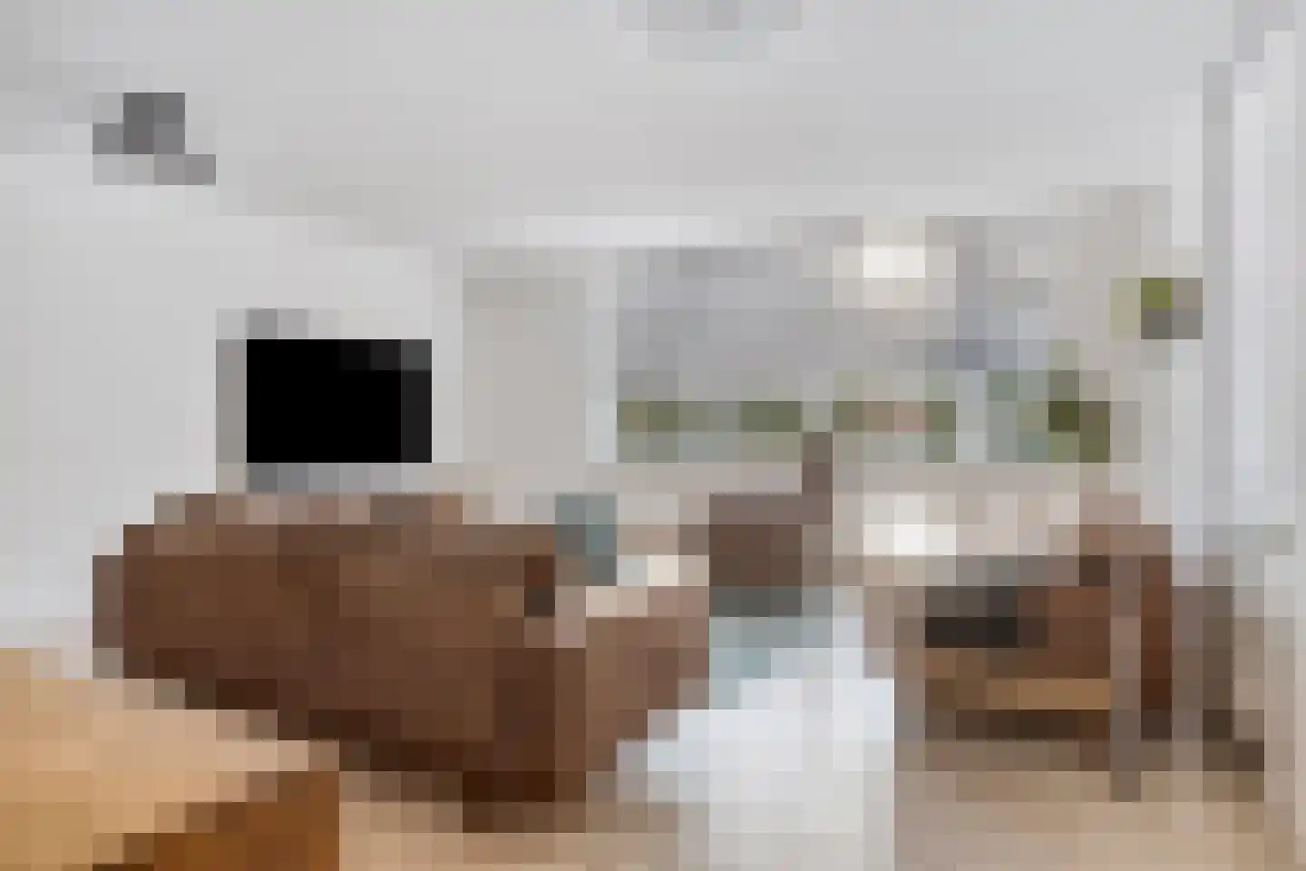 Maaivelden 24 Best thumbnail 8