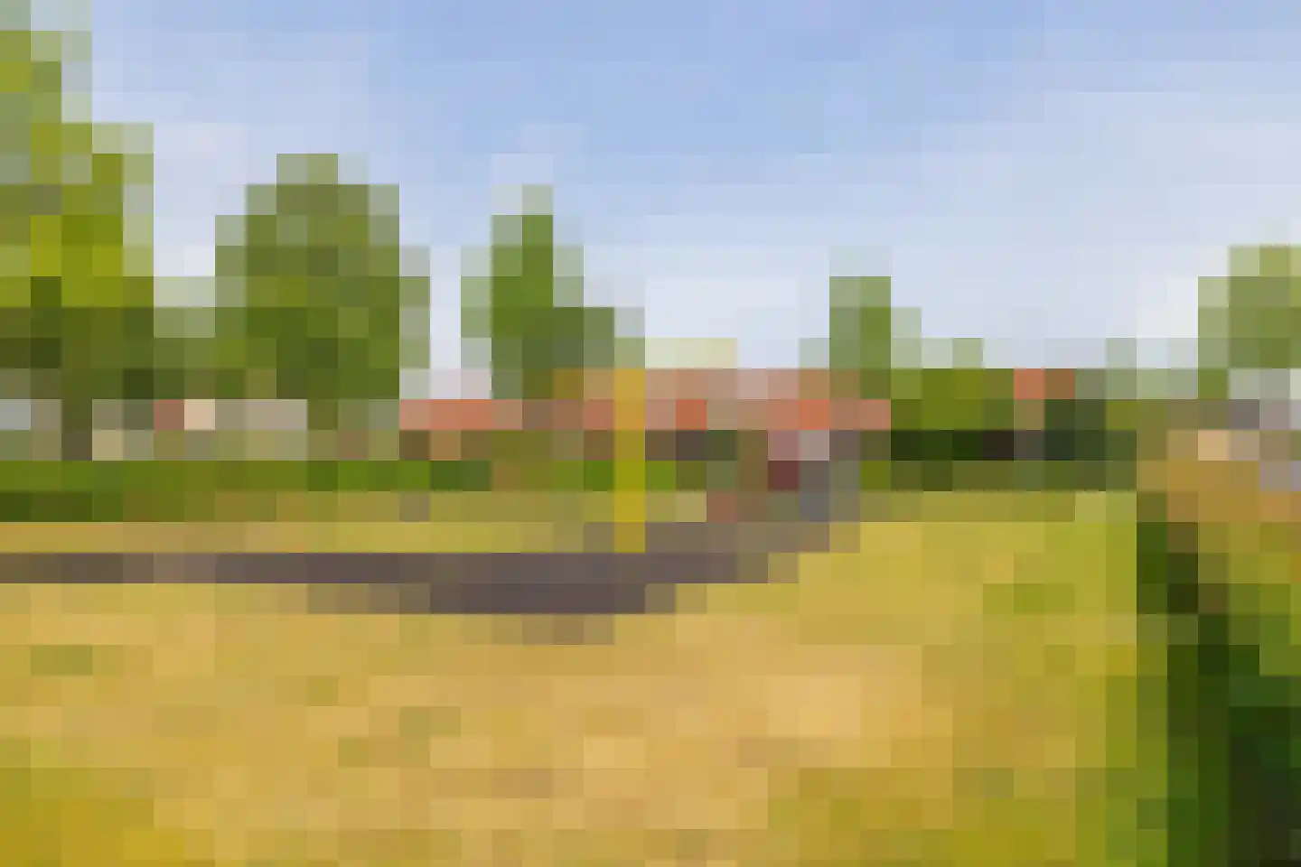 Maaivelden 35 Best thumbnail 47