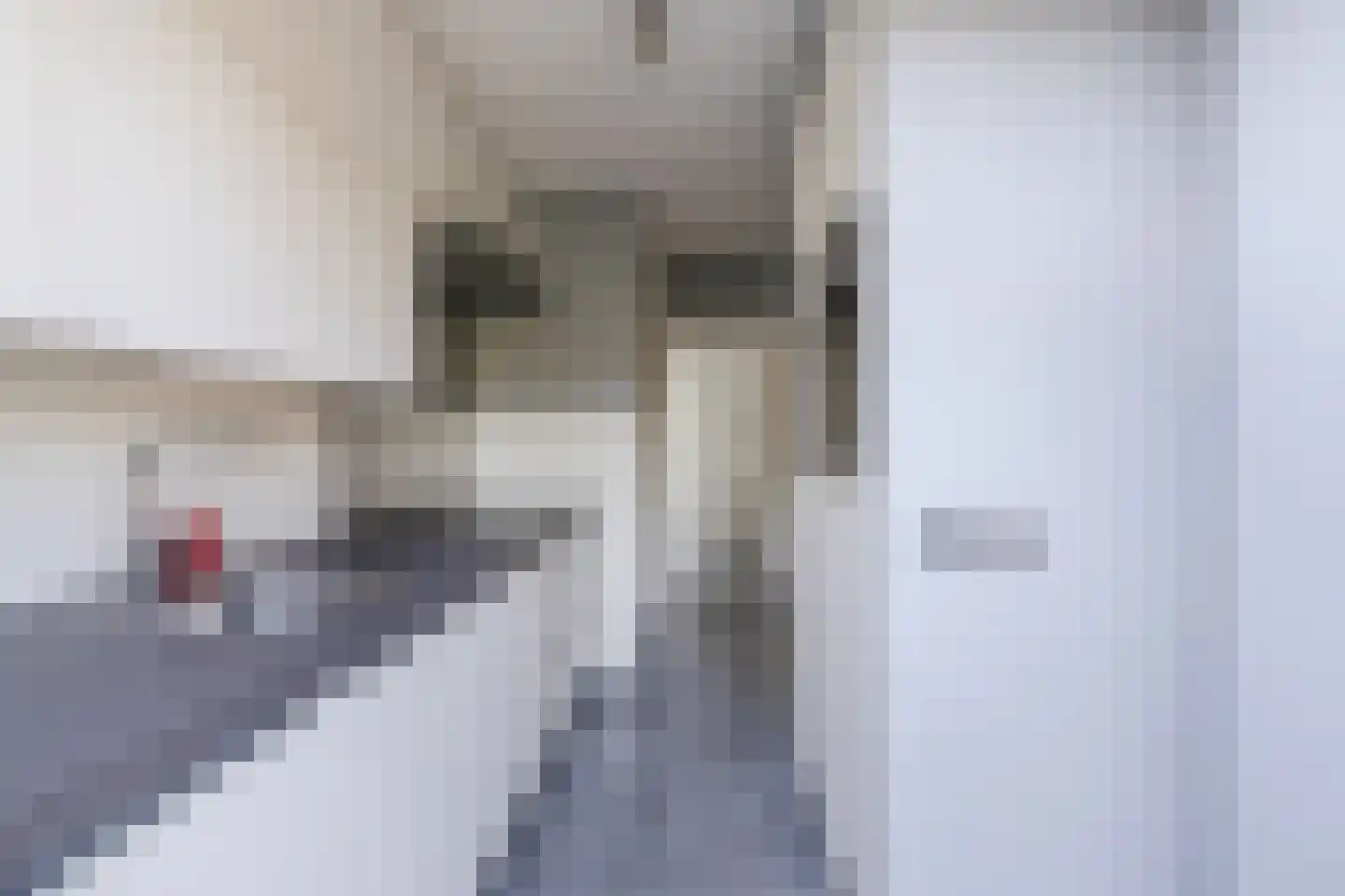 Maalakker 100 Eindhoven thumbnail 15