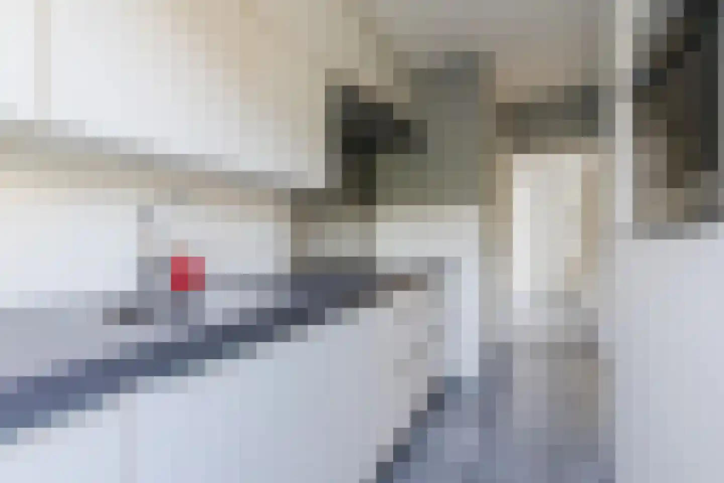 Maalakker 100 Eindhoven thumbnail 16