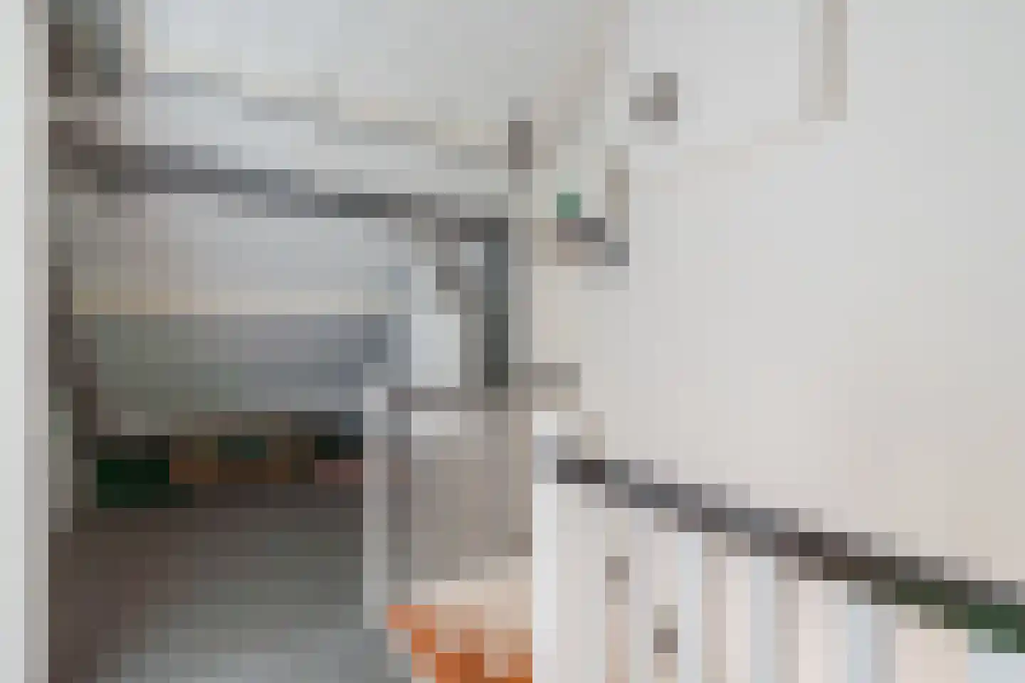 Maalakker 100 Eindhoven thumbnail 33