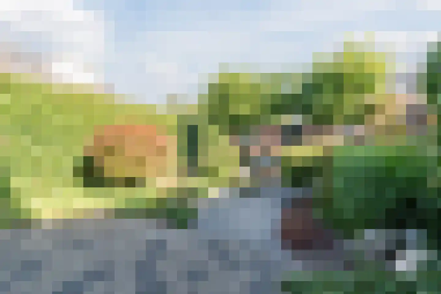 Maalakker 100 Eindhoven thumbnail 38