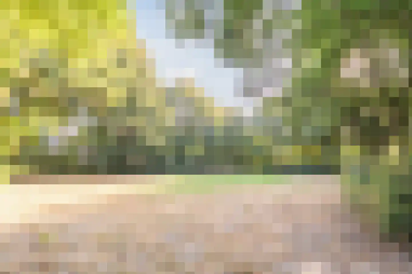 Maalakker 100 Eindhoven thumbnail 44