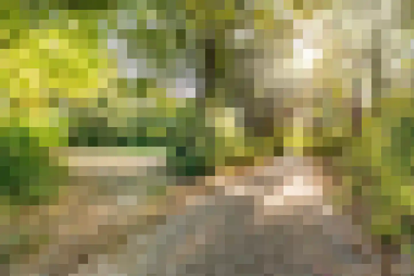 Maalakker 100 Eindhoven thumbnail 49