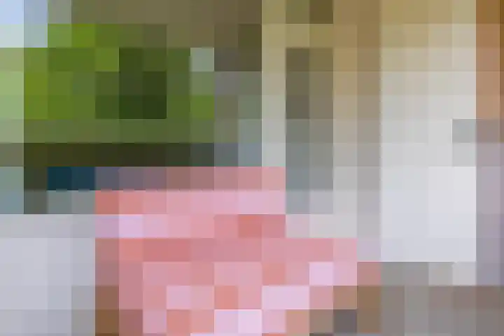 Maalakker 18 Eindhoven thumbnail 34