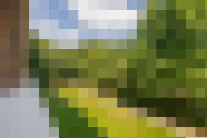 Maalakker 18 Eindhoven thumbnail 36