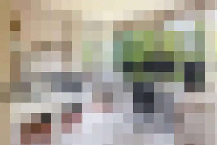 Maalakker 18 Eindhoven thumbnail 4
