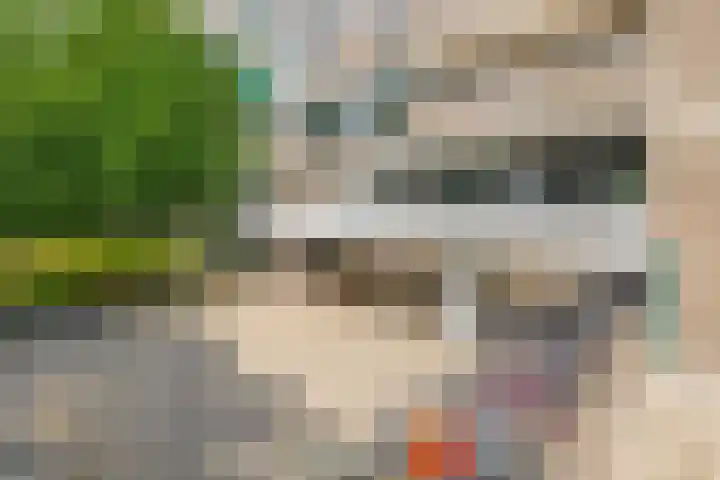 Maalakker 18 Eindhoven thumbnail 44