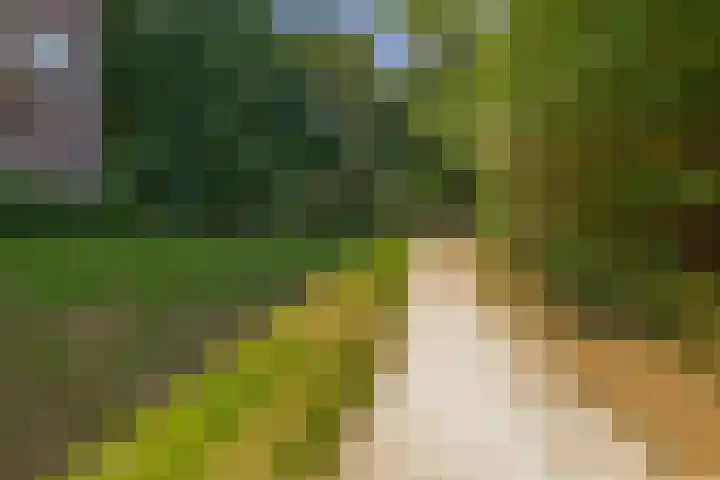 Maalakker 18 Eindhoven thumbnail 45