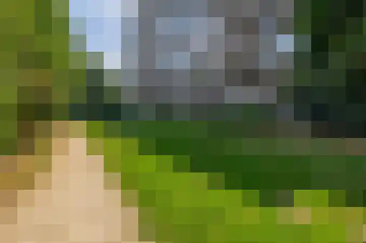 Maalakker 18 Eindhoven thumbnail 46