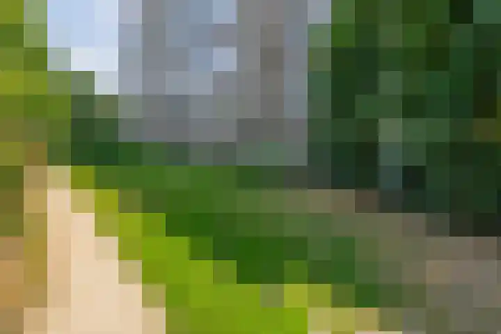 Maalakker 18 Eindhoven thumbnail 47
