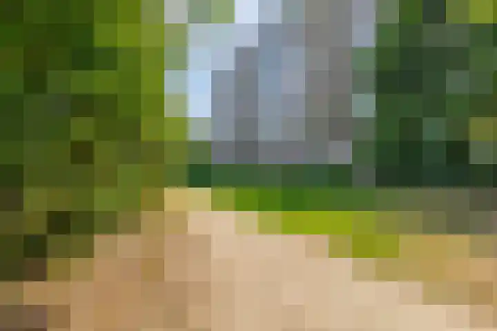 Maalakker 18 Eindhoven thumbnail 48
