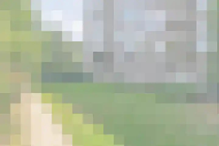 Maalakker 18 Eindhoven thumbnail 49