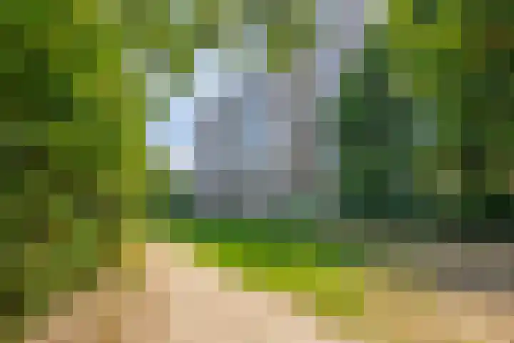 Maalakker 18 Eindhoven thumbnail 5