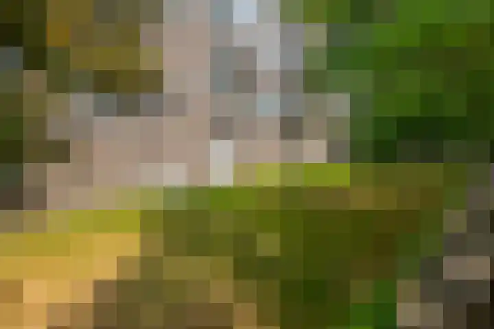 Maalakker 18 Eindhoven thumbnail 50