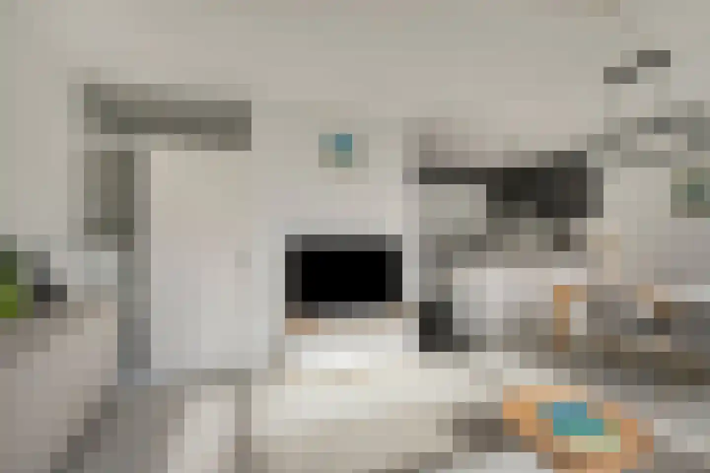 Maalakker 20 Eindhoven thumbnail 11