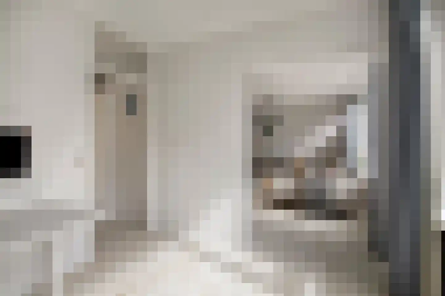 Maalakker 20 Eindhoven thumbnail 13