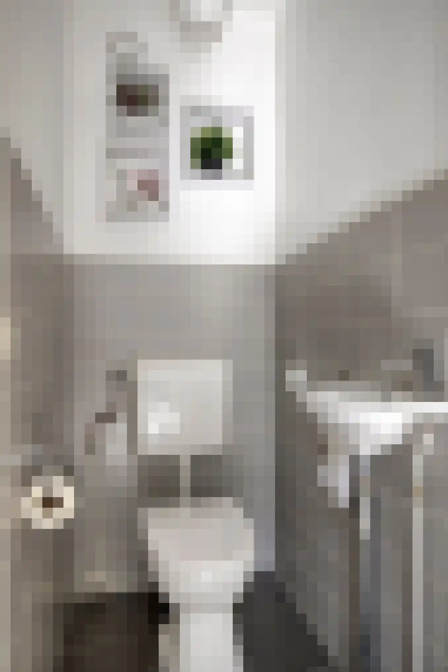 Maalakker 20 Eindhoven thumbnail 20